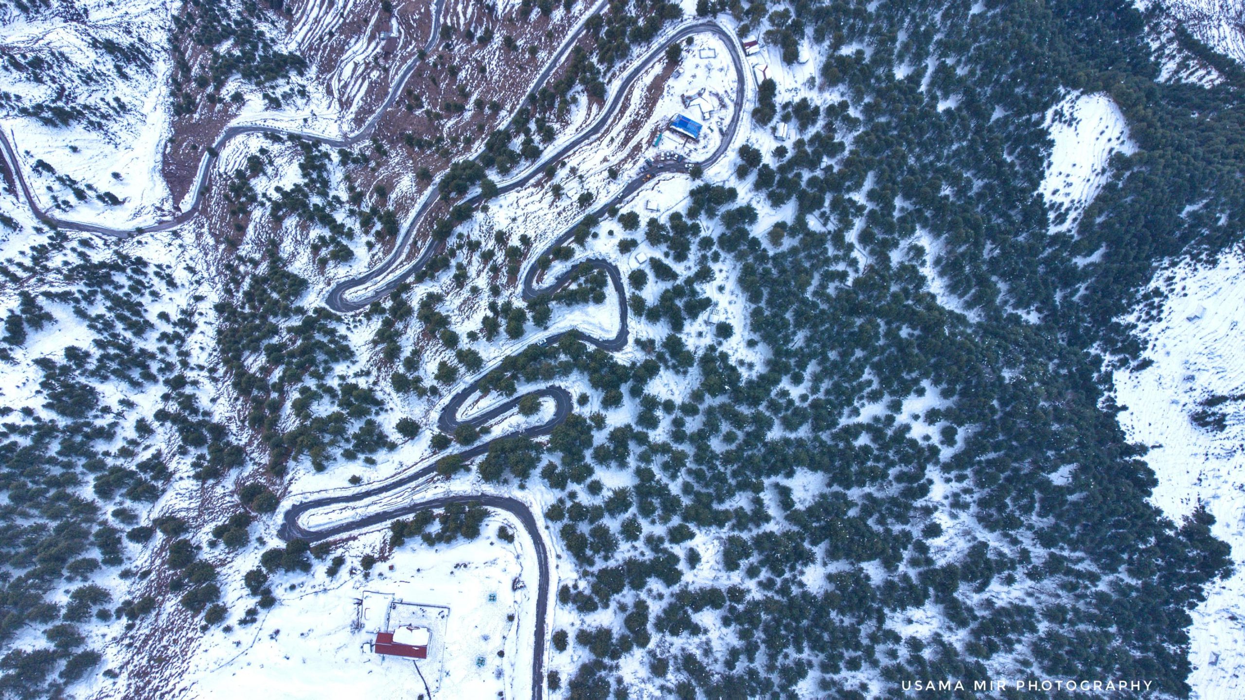 Pirchanasi in Snow