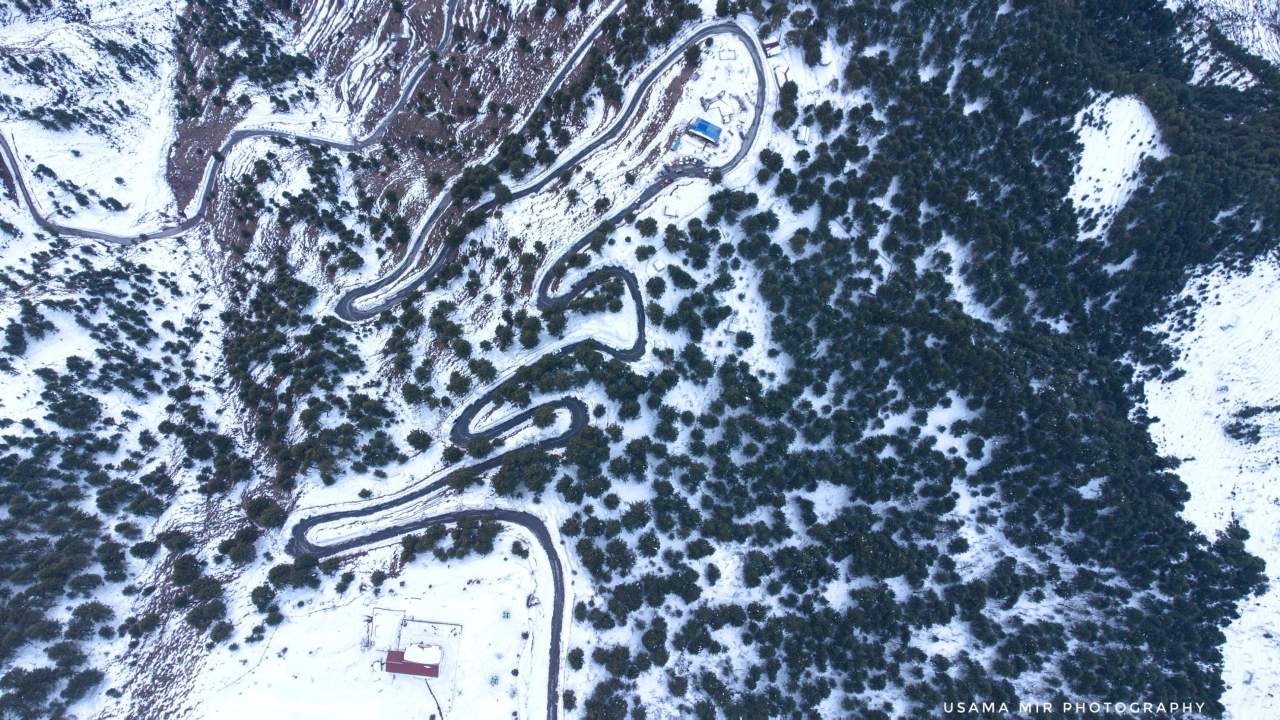 Pirchanasi in Snow