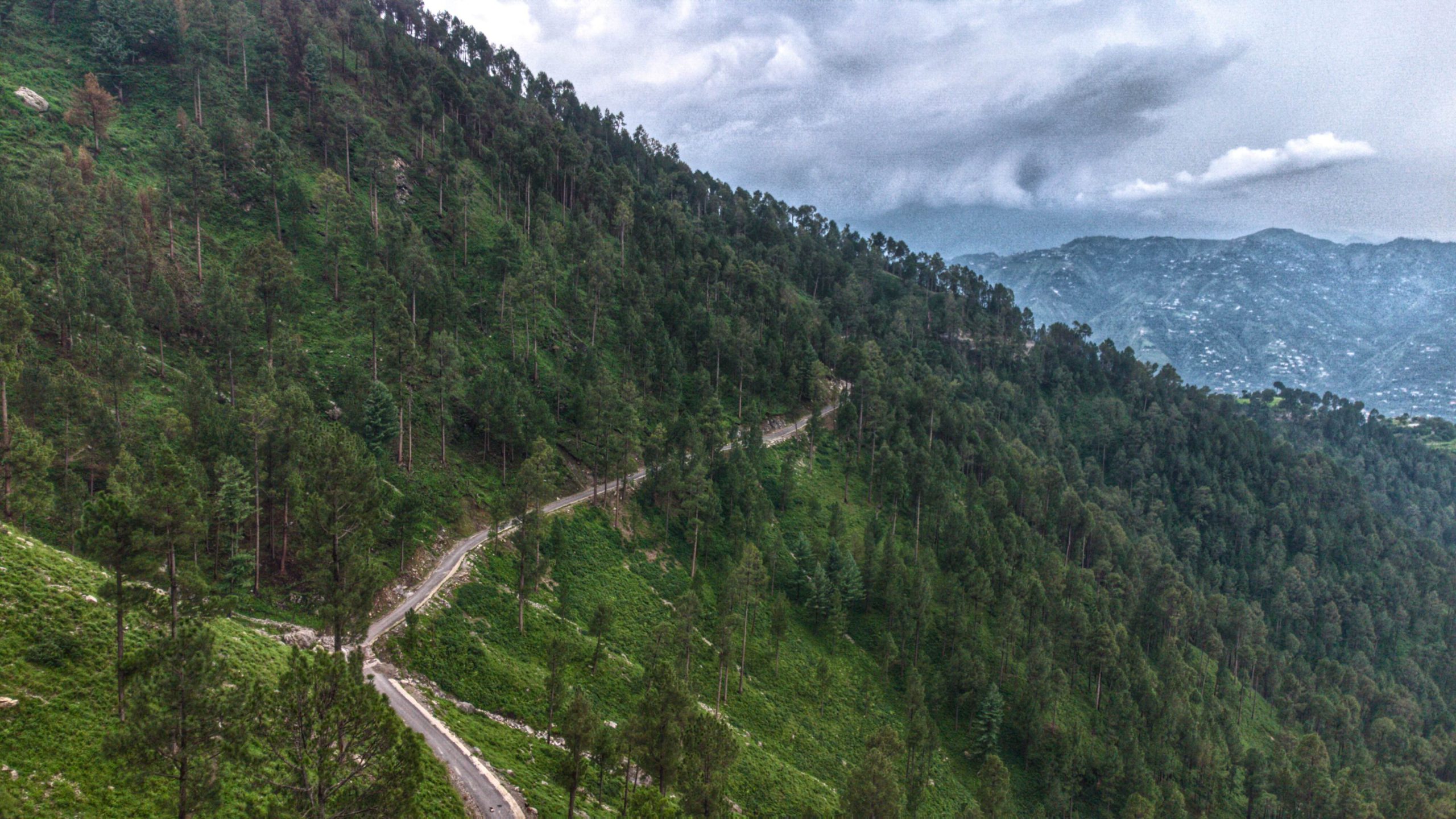DJI_0039-01